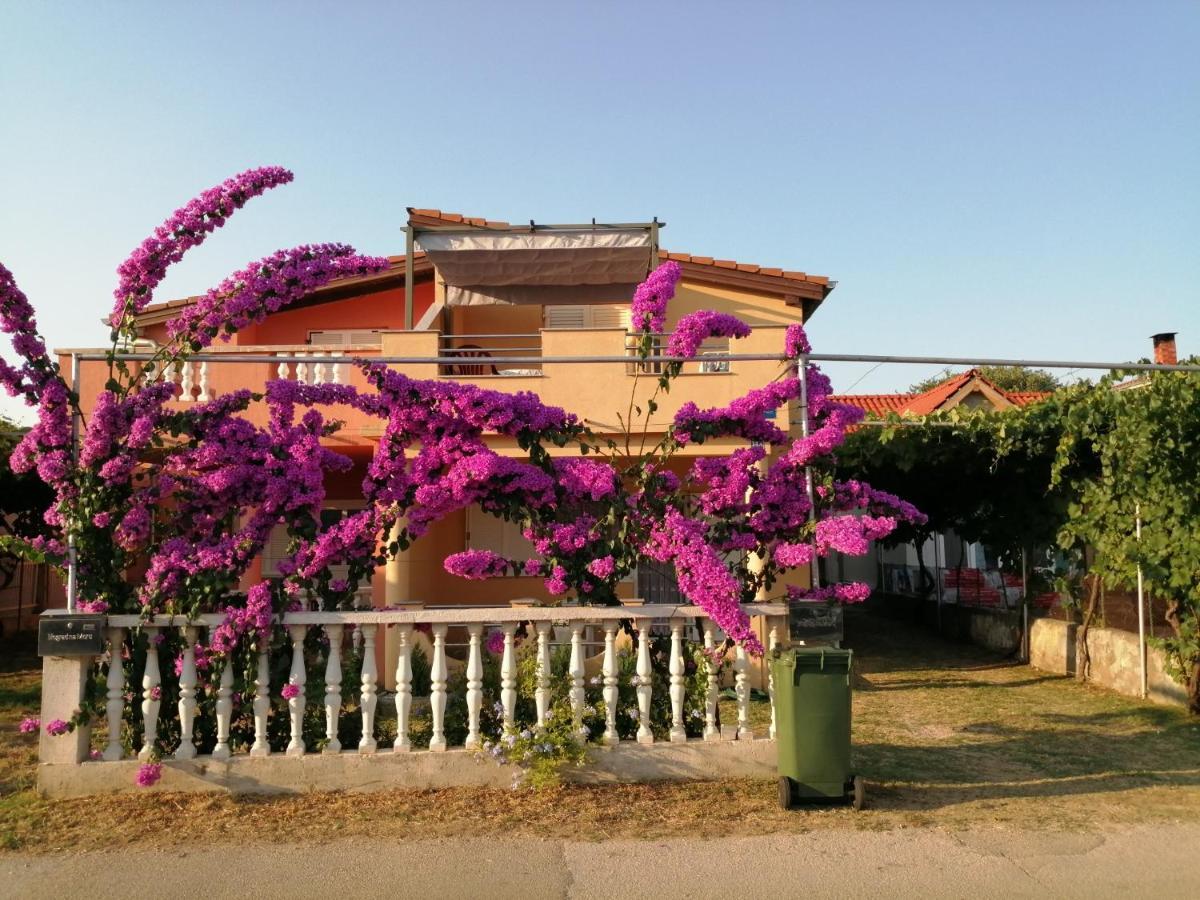 Marina Apartment บีโอกราดนาโมรู ภายนอก รูปภาพ