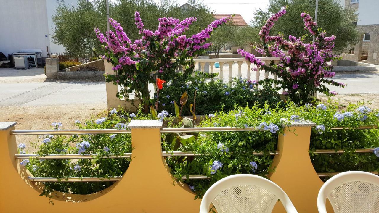 Marina Apartment บีโอกราดนาโมรู ภายนอก รูปภาพ